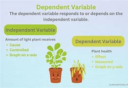 Image result for Dependable Variable Definition