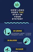 Image result for How Long Does Marijuana Stay in Your System for Drug Tests