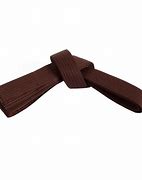 Image result for Brown Karate Belt