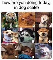 Image result for How Do You Feel Today Scale Meme