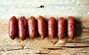 Image result for Sausage Earth Theory