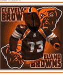 Image result for Cleveland Browns Helmet