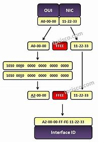 Image result for IPv6 Layout