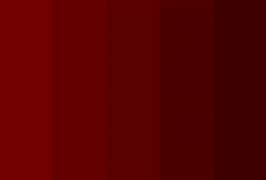 Image result for Maroon Paint Samples