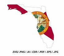 Image result for Florida Map. Flag Phone Case