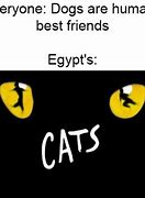 Image result for Good Cat Memes