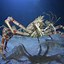 Image result for 12 Foot Japanese Spider Crab