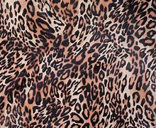 Image result for Brown Leopard Print Background