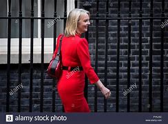 Image result for Liz Truss Red Box