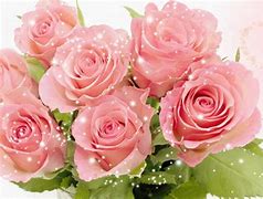 Image result for Pink Rose Bouquet Wallpaper