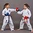 Image result for Martial Arts Kids