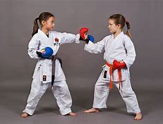 Image result for Kid Do Karate