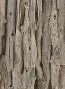 Image result for Driftwood Wall Background