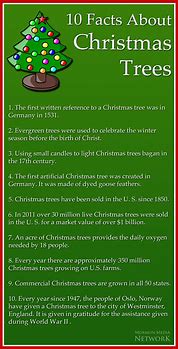 Image result for Christmas Tree Facts
