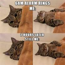 Image result for Cute Smiling Cat Memes