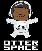 Image result for Otter Space Meme