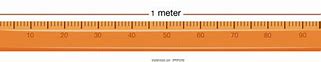 Image result for Standard Metric Ruler