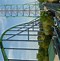 Image result for King Deca Roller Coaster