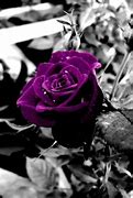 Image result for Neon Purple Wallpaper iPhone