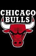 Image result for NBA Chicago Bulls Logo