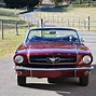 Image result for 64 1/2 Mustang