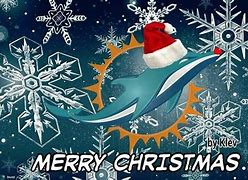 Image result for Miami Dolphins Christmas
