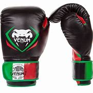Image result for Boxing Gloves 10Oz