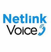 Image result for NetLink Voice 4K