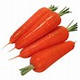 Image result for Carrot Fruit or Vegetable