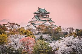 Image result for Osaka Castle Visit