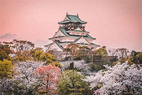 Image result for Osaka in Chinese