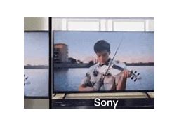 Image result for Sony TV with Oval Screen