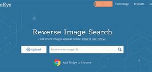 Image result for Ai Reverse Image Search