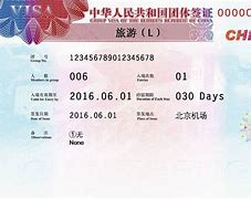 Image result for What Is F Visa in China