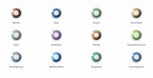 Image result for Optical Contact Lenses