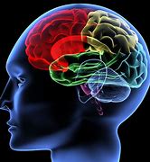 Image result for Brain Background