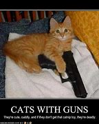 Image result for Funny Cat Quotes
