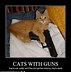 Image result for Funny Cats