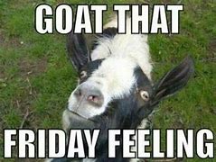 Image result for Happy Friday Goat