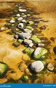 Image result for Stepping Rocks