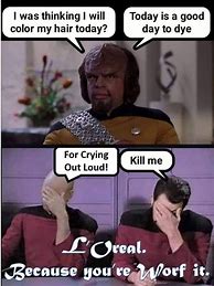 Image result for Star Trek Cat Meme