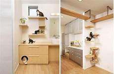 idea casa banchette casa da gatto eporedianimali onlus idea casa banchette casa da gatto eporedianimali onlus