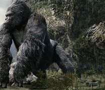 Image result for Fat King Kong