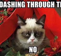 Image result for Funny Christmas Week Memes