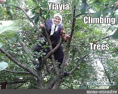 Image result for Climbing Family Tree Meme