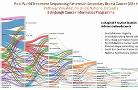 Image result for Cancer Registrar