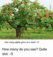 Image result for Apple Tree Meme
