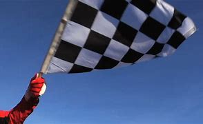 Image result for Official Waving Checkered Flag