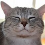 Image result for Happy Cat Face