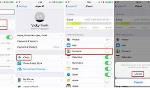 Image result for Import iPhone Contacts